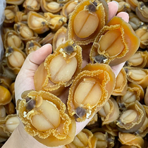 Dalian Jipindbao fish dry 12 15 20 25 head special class large bag fish Buddha jumping wall material dry baud gift box dress