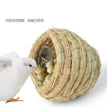 Cohort parrot grass Lower egg cohort in Luding chicken Breeding Pet Luding Chicken Breeding Bird Nest Chicken Indoor