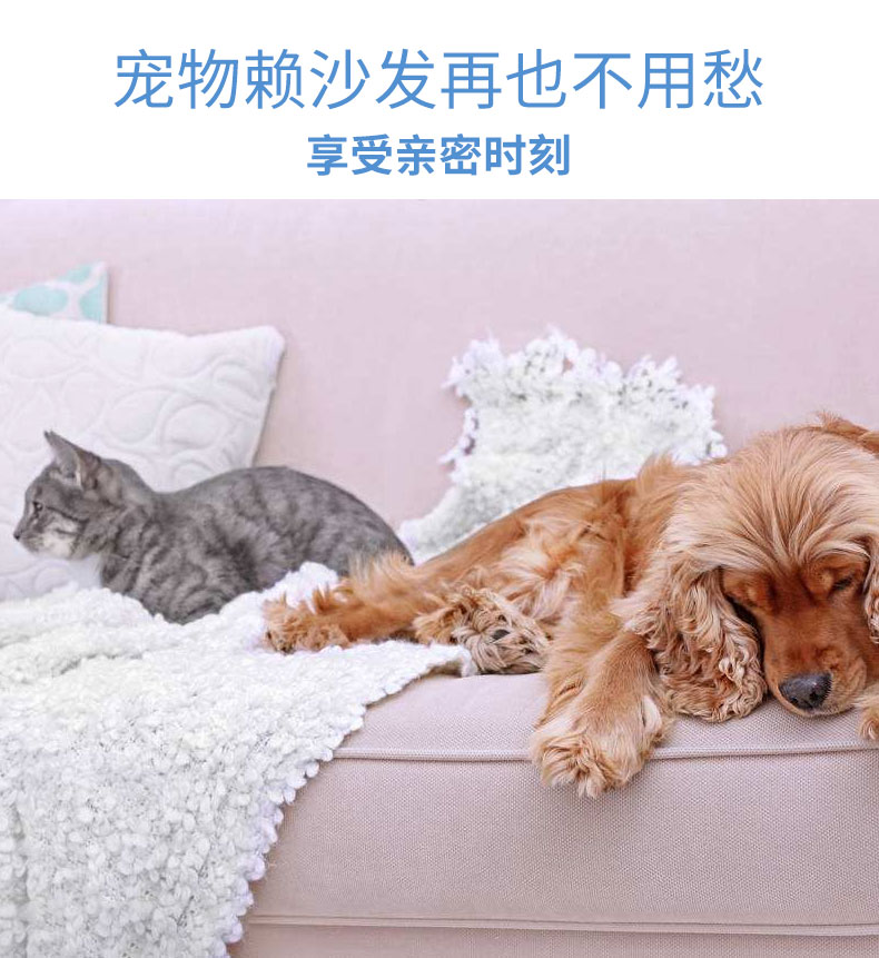 Quần áo bàn chải nhà đa chức năng tẩy lông Artifact tẩy lông tĩnh bàn chải mèo lông chó lông sạch quần áo bàn chải - Hệ thống giá giặt dụng cụ cắt lông xù trên quần áo