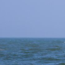 Postage pats He pats are invalid