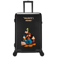 Братья Микки-Блэк