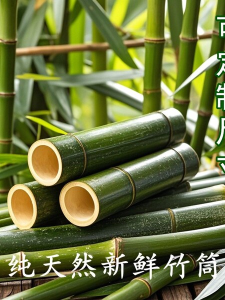 新鲜竹子竹竿竹棍竹筒节节高手工diy花艺装饰幼儿园婚庆材料创意