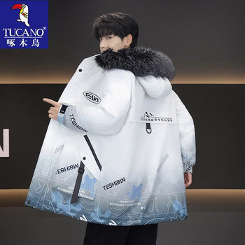 Woodpecker Gradient Color Printed Jacket for Men, Winter Fleece-Lined Thickened Parka, Youth Mid-Length Cotton Coat