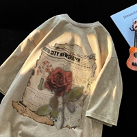 JB5227-Абрикос