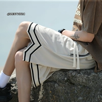 DK2295-Абрикос