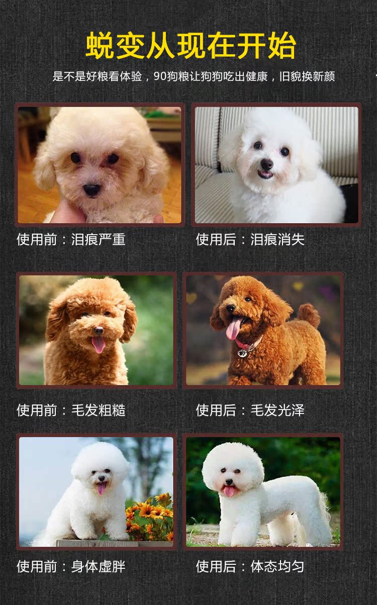 Chó và chó cho chó con trong 3-6 tháng Wangyuan chào đón 11.11 Mua một tặng một thịt miễn phí và hai cặp thức ăn cho chó - Gói Singular hạt zenith