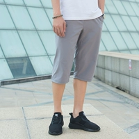 Средний серый-551637402