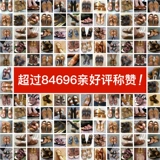 Сандалии, летние универсальные тапочки для отдыха, пляжная обувь, коллекция 2022, мягкая подошва