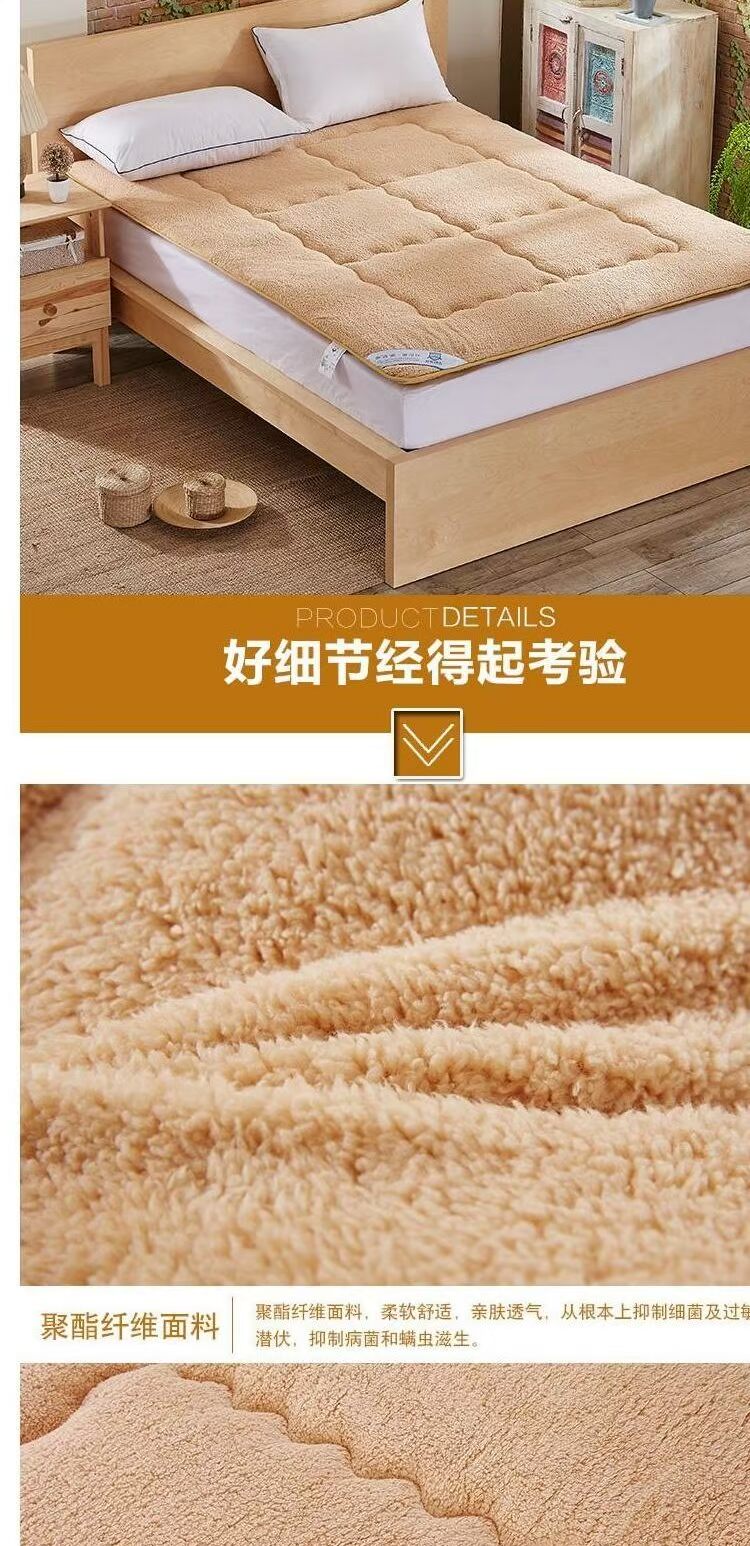 Đệm lưng chăn đơn dày dày Giường đơn cộng với đệm nhung 褥 Giường nệm sang trọng đệm everon chính hãng