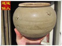 (Carefree Fairy) Song Dynasty plum-plum button tea leaves at the end of the day without old bags