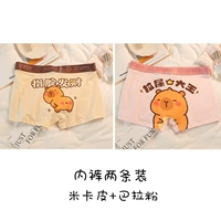 Упаковка из двух штук (микапи + порошок бара)