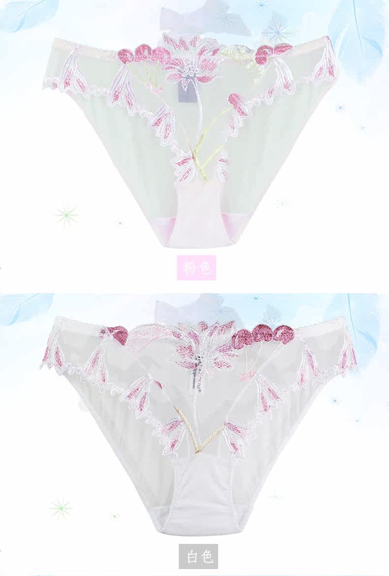 Slip jeunesse 3713K en coton - Ref 644133 Image 12