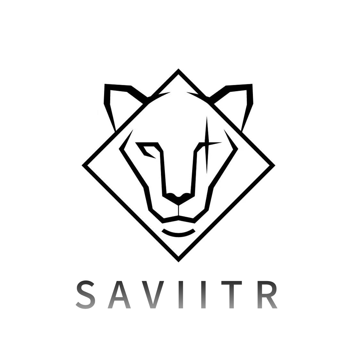 SAVI碳纤维数码