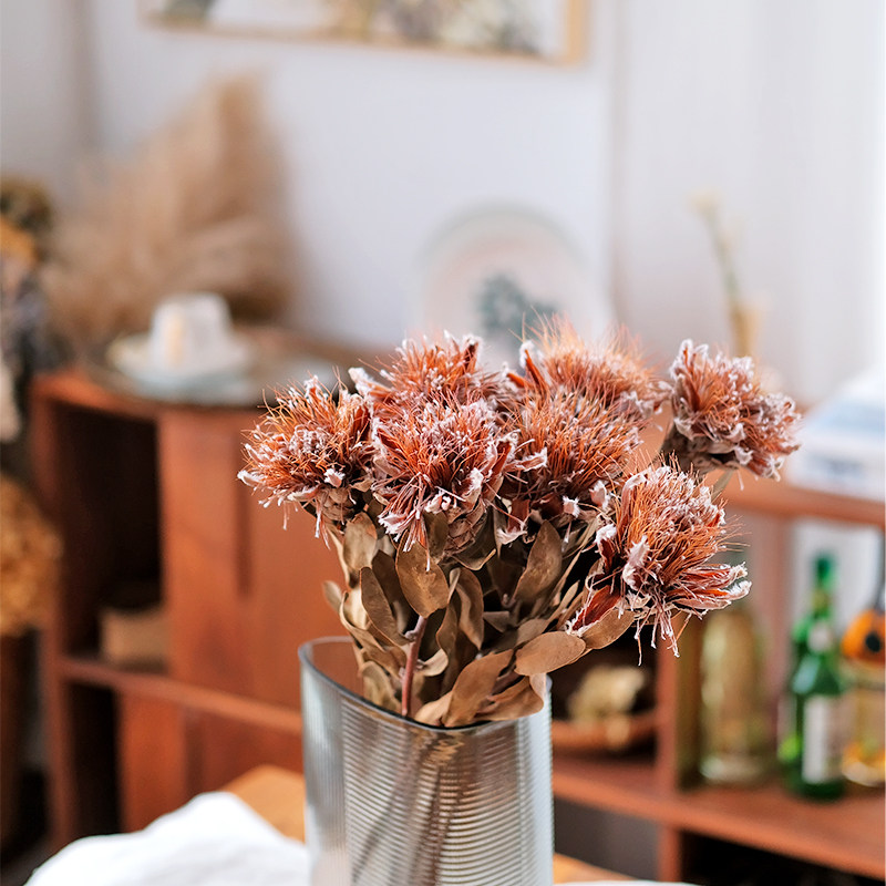 Ins of north Europe South Africa imports dried flower to live in flower arrangement bouquets of collocation soft outfit adornment princess flower shoots prop home