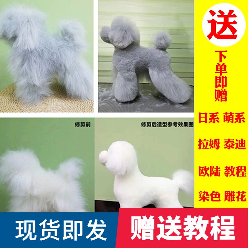 Pet grooming fake dog porn model model Teddy bear VIP Ram dress practice simulation dog Mauri pet