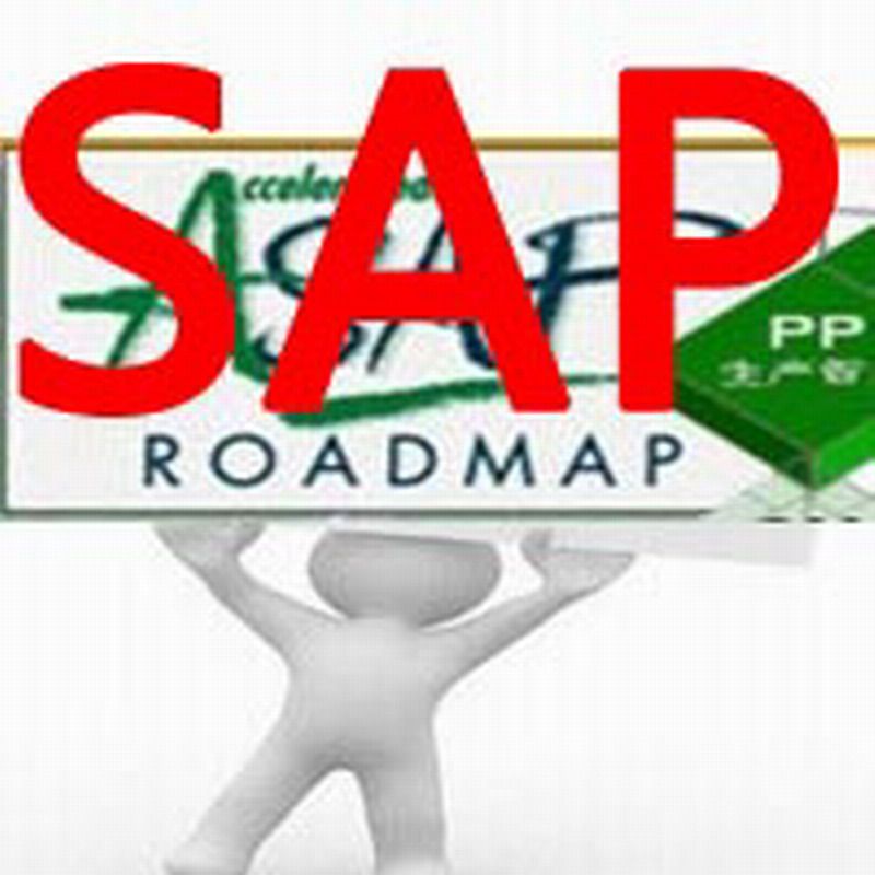 Online account server SAP ECC6, S4 HANA1909 version BW and other systems, permanently online