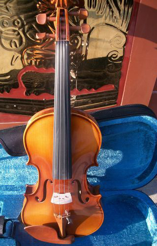 The Quality Tiger Violin Multi-Province of the Middle Gear Violin