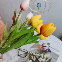 Glasses shop counter simulation flower Dutch Tulip photo props hot sale ornaments decoration shooting display display