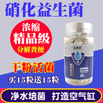 Nitrifying bacteria capsule Fish tank Turtle tank with active digestive bacteria Water purification stabilizer Aqua live bacteria dry powder