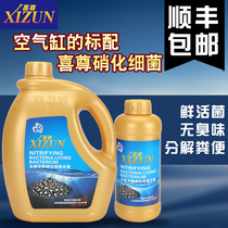 Xizun Nitrifying bacteria Probiotics Fish tank Nourishing and nourishing Aquarium water quality Stable water purification Digestion live bacteria
