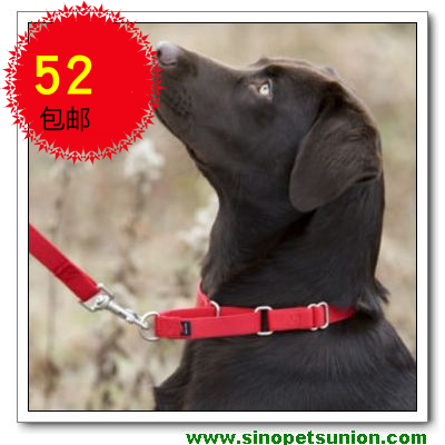 (SHOW DOG) Pet explosion-proof punching 8-word collar telescopic item lap fine-fit version