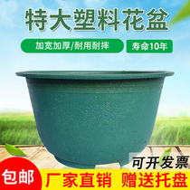 Plastic flowerpot extra large courtyard planting iron tree bonsai pot large size thick durable Dragon cylinder Lotus pot clearance