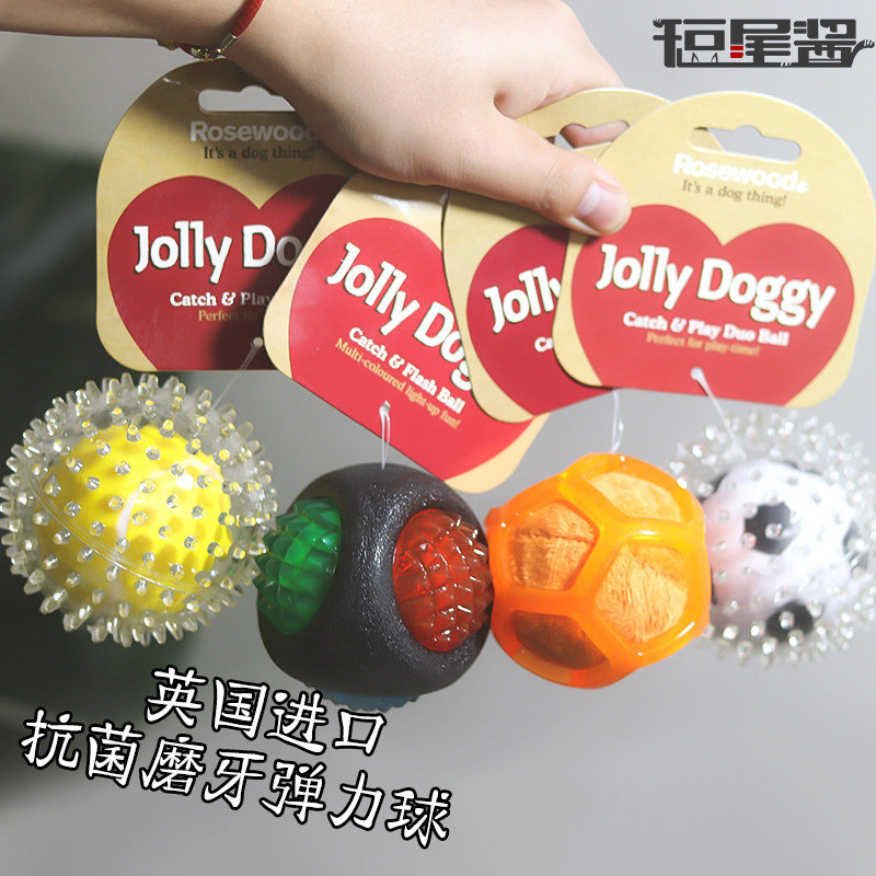 Rosewood pet dog toy double-layer tooth cleaning elastic thorn ball outdoor interactive circuit training floating water ball