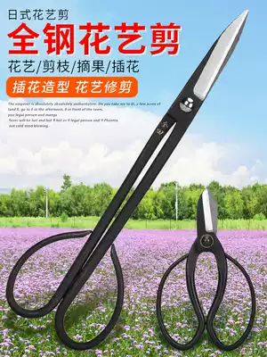Household bonsai trim shape scissors floral artist special tool Floral leaf bud scissors Japanese professional flower arrangement flower scissors