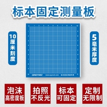 10X10厘米医用ESD病理手术标本测量尺固定拍照不反光背景刻度板