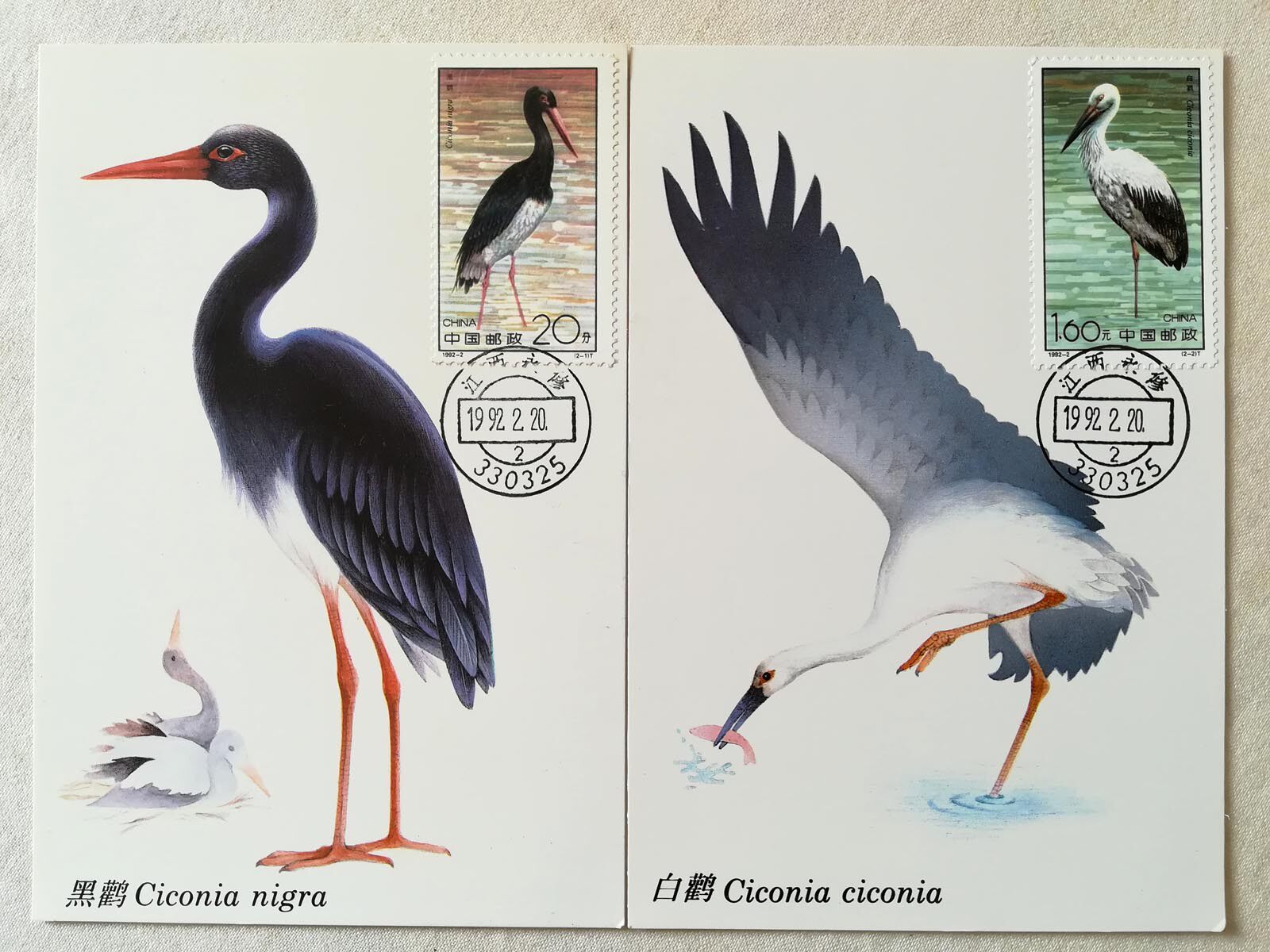 MC12 1992-2 Stork Limit Postcard