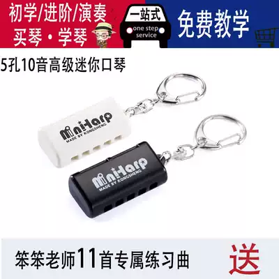 Stupid harmonica recommended five-hole 10-tone high-level mini harmonica adult beginner introductory practice professional