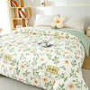 Xinjiang Cotton Quilt, Pure Cotton Spring and Autumn Quilt, Thickened Warm Winter Quilt, All-Cotton Cotton Filling, Bedding Quilt, Suitable for All Seasons