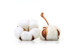 Khoảng 1-10 tuổi, đôi tất thể thao sọc kẻ trẻ em vớ thấm mồ hôi thấm hút tất cotton love thời trang trẻ em cao cấp Vớ