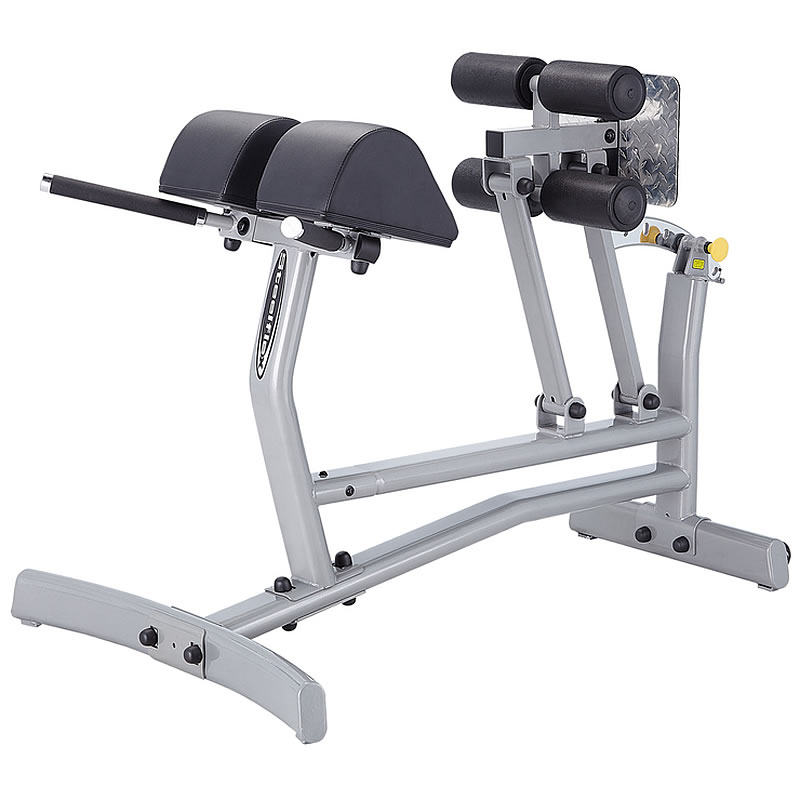 Steffield Steelflex NRCH Home and Commercial Roman Chair Back Stretch Trainer Roman Stool