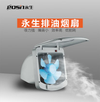 Yongsheng ventilation fan DH42 kitchen exhaust fume fan Household ventilation fan Bathroom exhaust fan