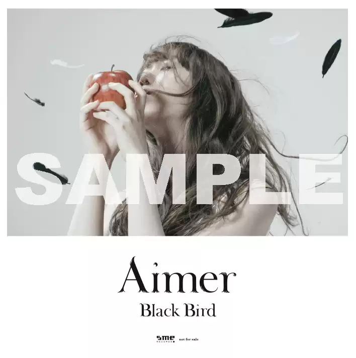 Aimer Black Bird 両面ポスター2枚セット Aimer初回限定周边Black Bird特典贴纸Tiny Dancers双面海报