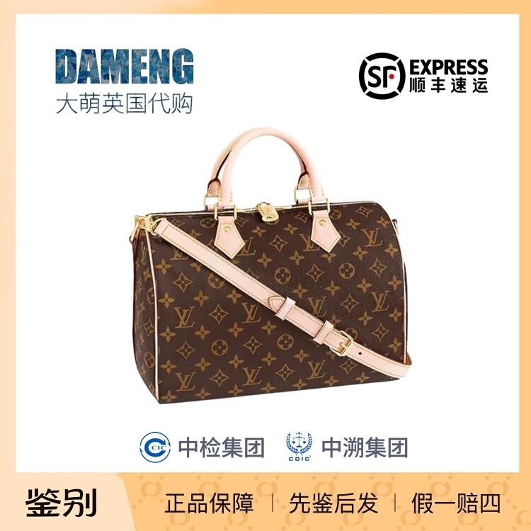 Lv Louis Vuitton Speedy25 Pillow Bag Classic Monogram Checkered Shoulder Bag Crossbody Bag Lv Women's Bag