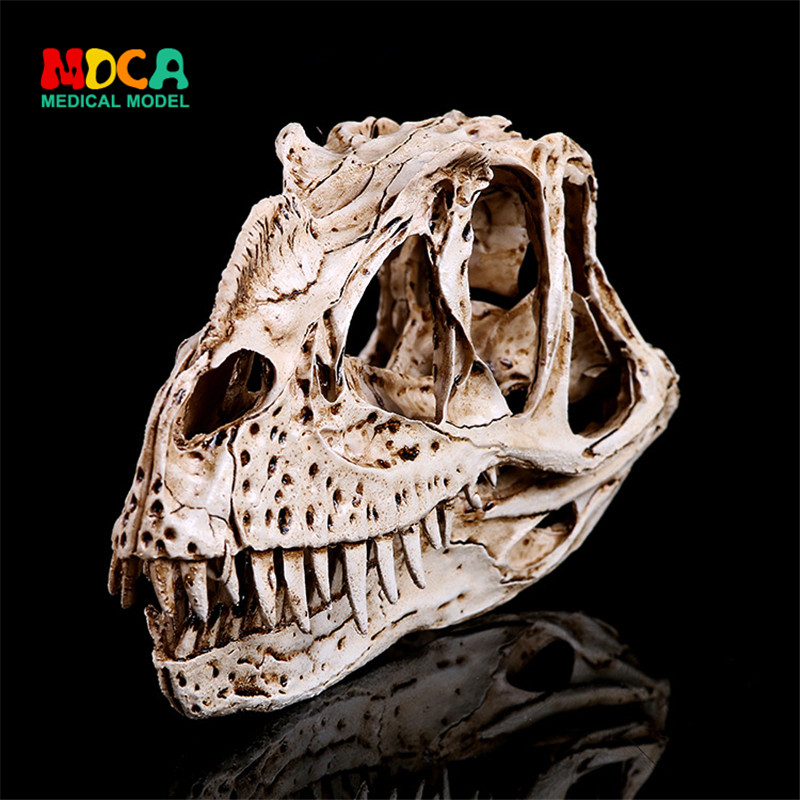 Corner Nose Dragon Dinosaur Skull Resin Skulls Skull Head Creative Home Swing Piece Personality Pendulum KLGT017