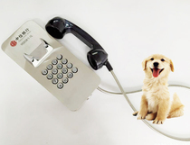 CITIC Bank exempted direct telephone ATM emergency help phone