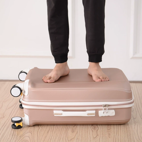 Модный милый вместительный и большой чемодан, в корейском стиле, 20 дюймов