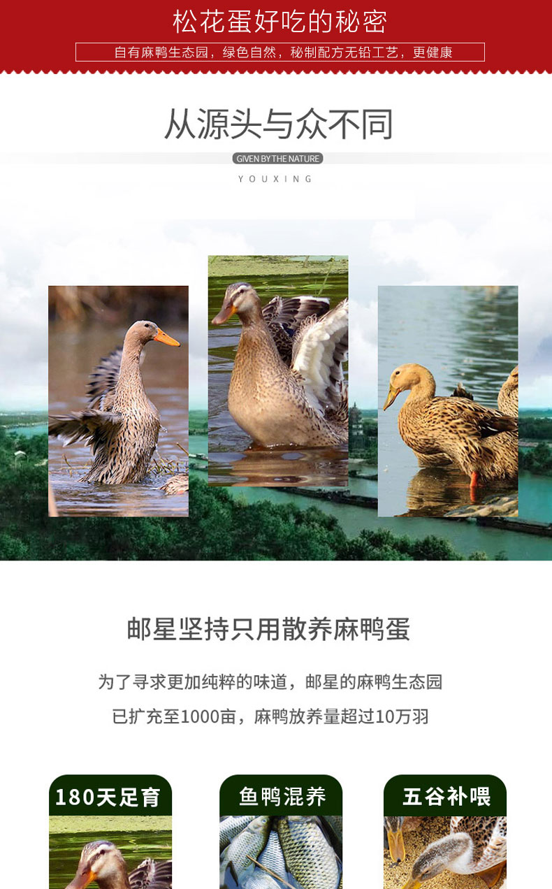 邮星 溏心麻鸭松花蛋 20枚/1300g 图10