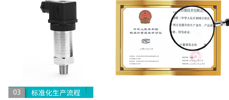MIK-P300压力变送器CMC证
