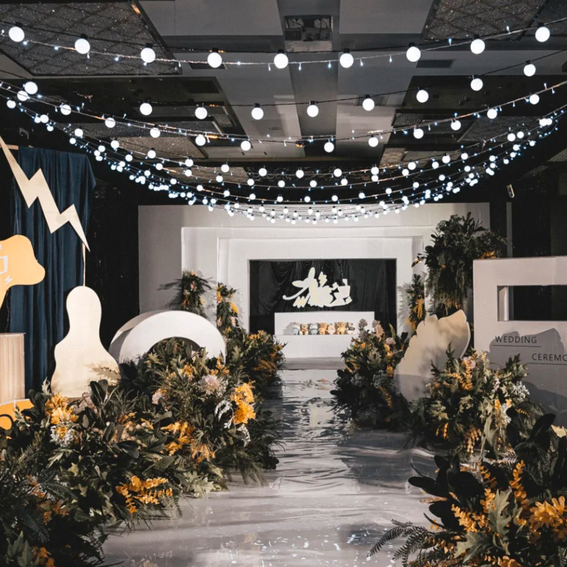 LED indoor and outdoor ball bulb string light hanging lamp small dragon ball chandelier wedding ceiling arrangement window garden decoration 