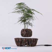 New Creative Desktop Swing Piece Magnetic Levitation Potted Plant Aerial Suspension Potted Handicraft Shake-Up the same gift