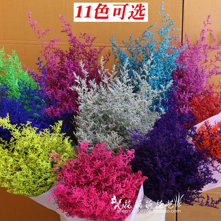 Dry Flower Lover Grass Bouquet Natural Air-dried Flowers DIY Genuine Flower Dry Grass Shooting Props Home Decoration Flower Arrangement