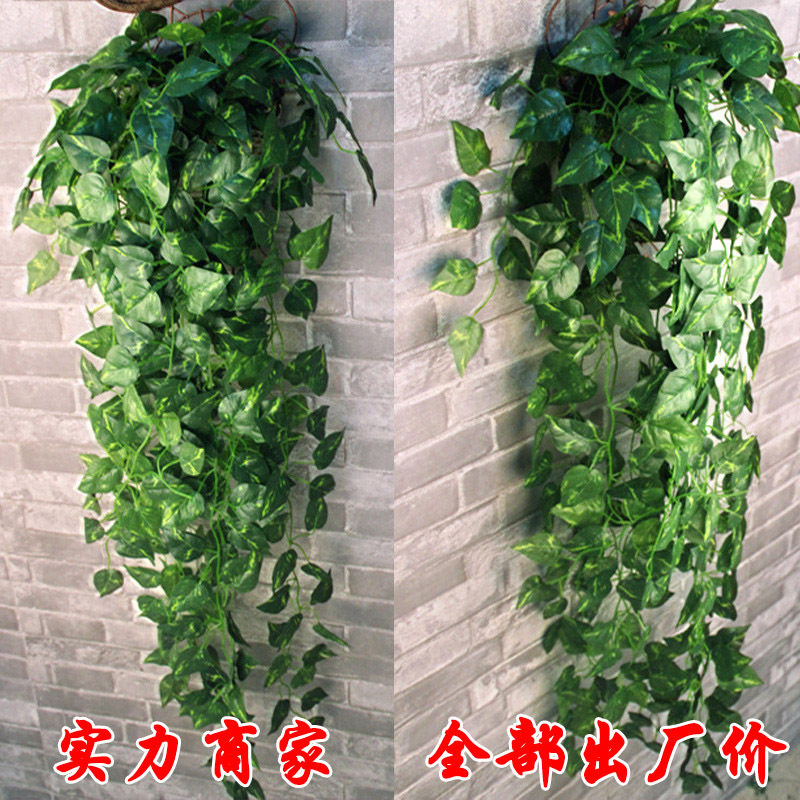 Manufacturer direct marketing simulation climbing Mountain tiger gold Ge green leaf wall-mounted fake rattan vine plant evergreen vines special price