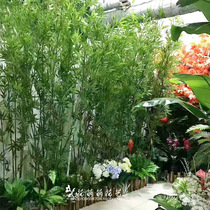 Simulation Bamboo Decoration Encrypted Plastic Fake Bamboo Partition Screen Xuanguan Engineering Bamboo Forest Manufacturer Direct Hair Bamboo Seed