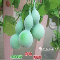 Hot Selling Fruit Manufacturer Direct Marketing Emulation Fruit Vines Flower Emulation Vegetable Flowers Vines Decoration Fake Hyacinth Fruit Dress