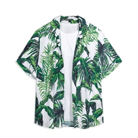 Зеленая дикая фея