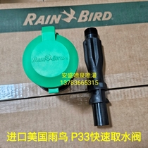 美国雨鸟P-33快速取水阀 6分取水栓 3 4方便体 6分外丝快插